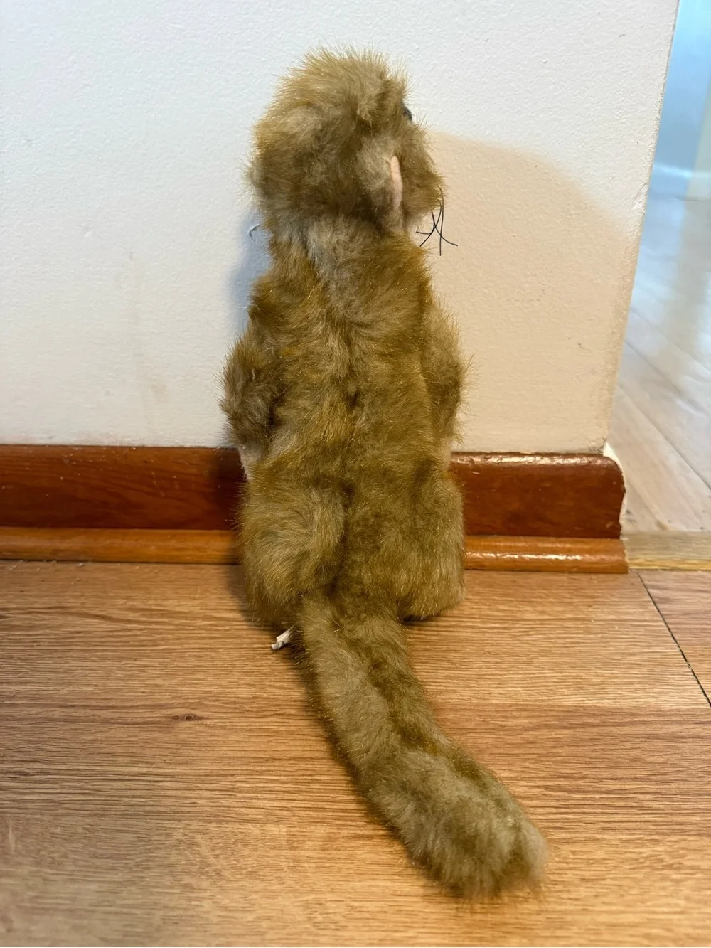 Fiesta Meerkat Realistic Plush WWF Stuffed Animal Adoption Promo 10.25